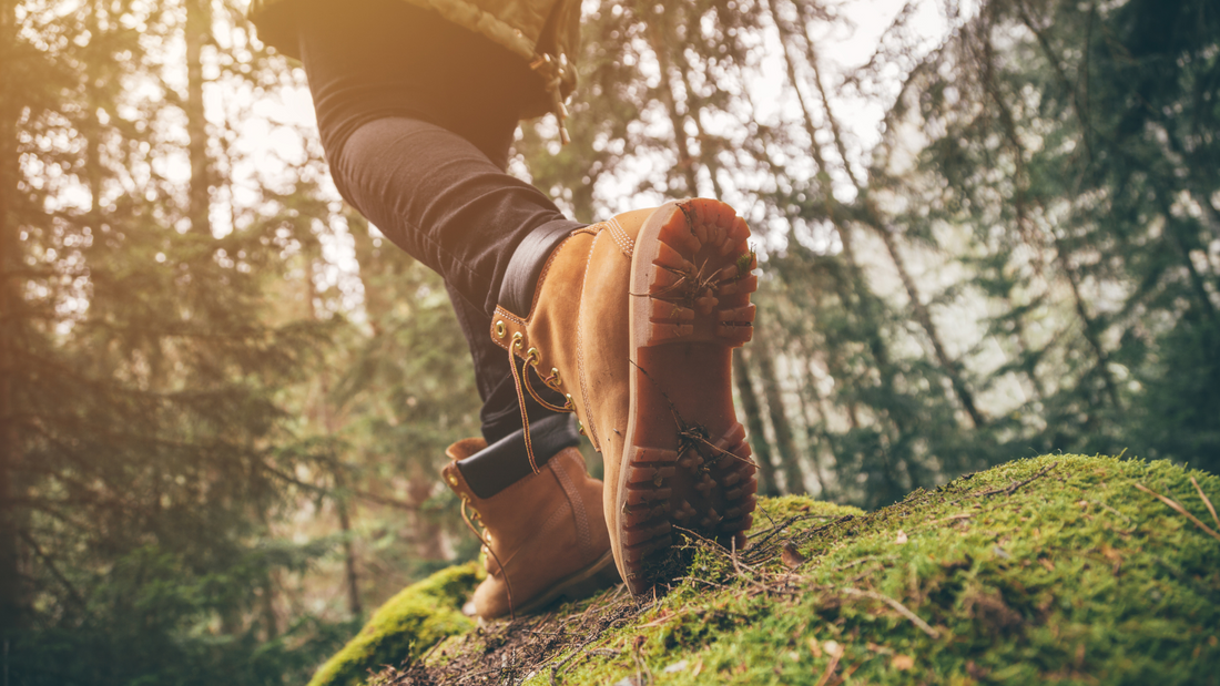 Hinds Feet in High Places